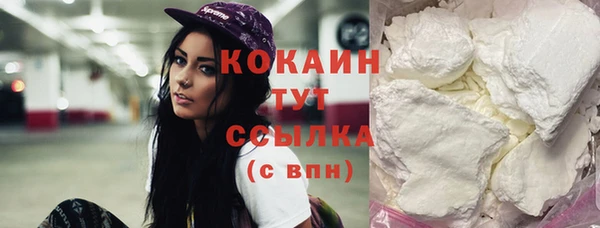 круглые Гусев