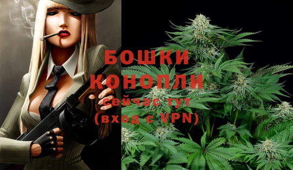круглые Гусев