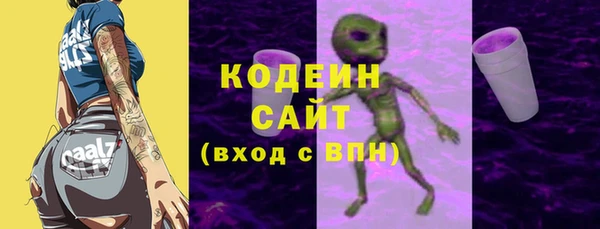 круглые Гусев
