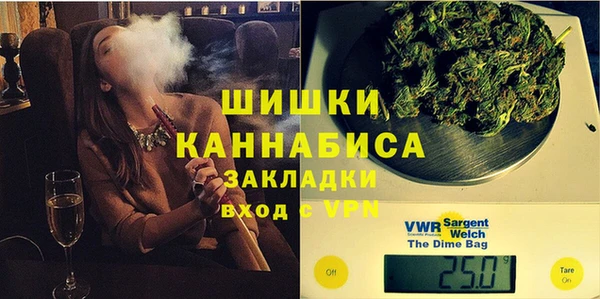spice Гусиноозёрск