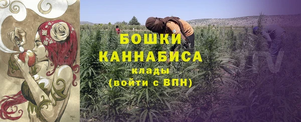 spice Гусиноозёрск