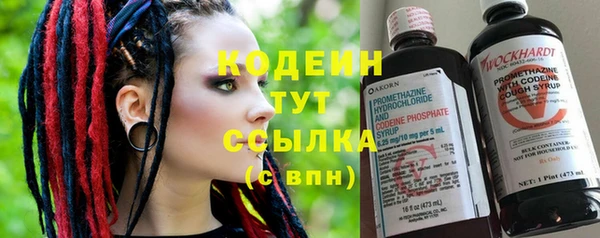 круглые Гусев