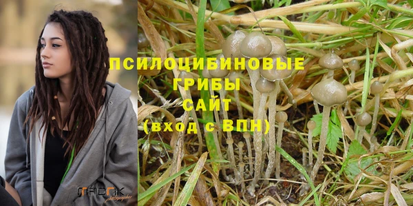 spice Гусиноозёрск