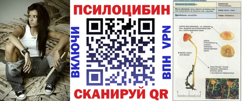 Псилоцибиновые грибы мицелий  Купить где  Белёв 